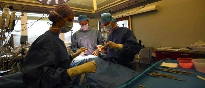 Florida doctor indicted, accused of removing patient's wrong organ - 1