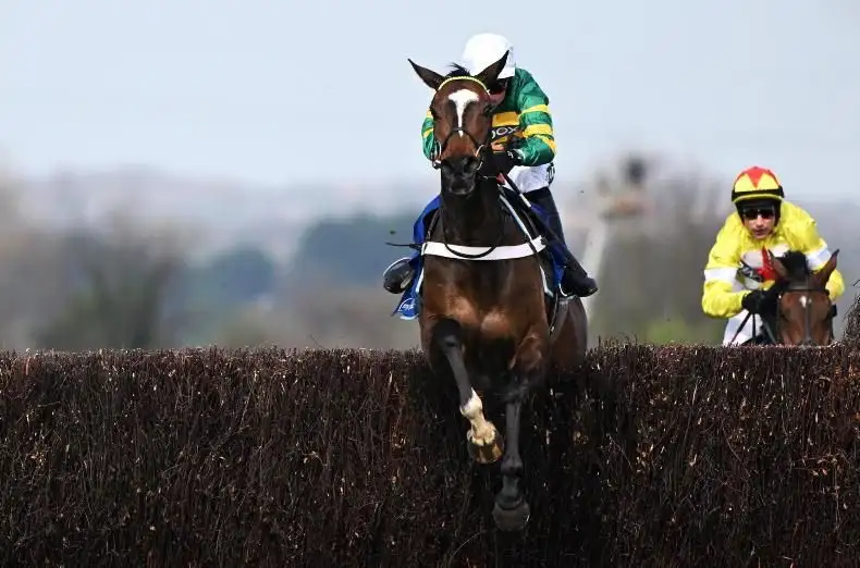 Today on Sky Sports Racing: Pic D'Orhy faces Jonbon in Ascot Chase three-peat bid - 1