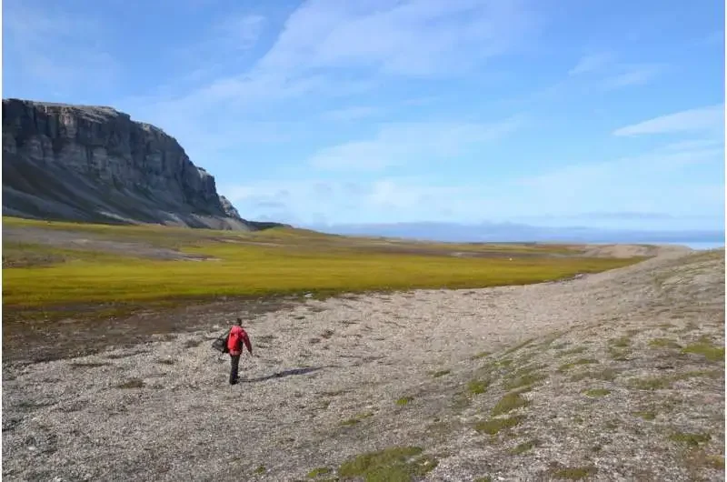 Arctic peatlands are expanding as temperatures continue to rise, new research confirms - 3