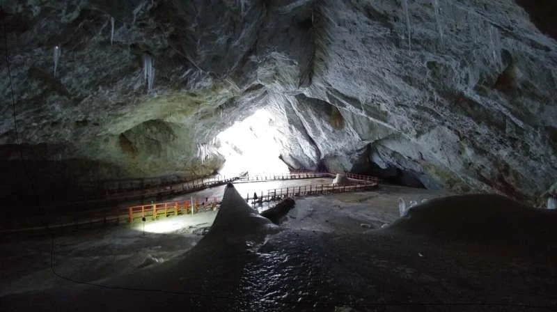 Bacterial strain from 5,000-year-old cave ice shows resistance against 10 modern antibiotics - 1