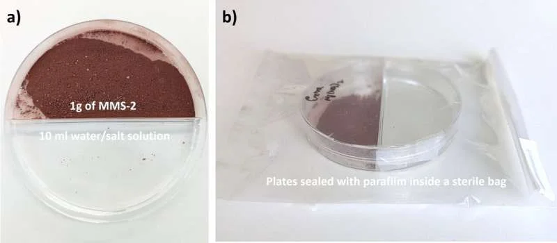 Can we grow life on Mars? Experiments show potential in simulated extraterrestrial soil - 1