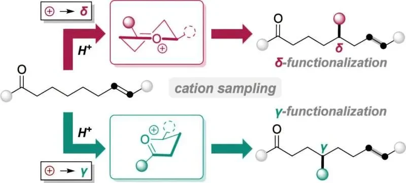 Migrating charges unlock hard-to-reach C-H bond edits in organic molecules - 1