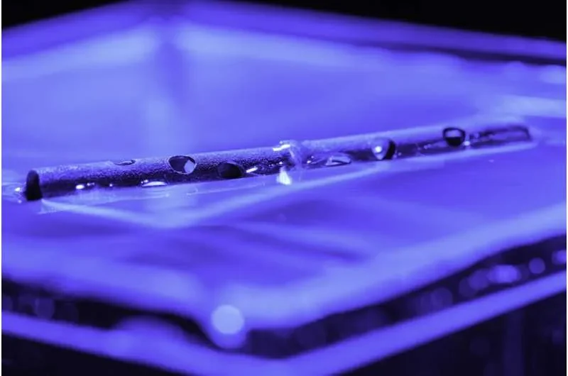 These Unsinkable Tubes Could Help Harvest Energy From the Ocean - 3