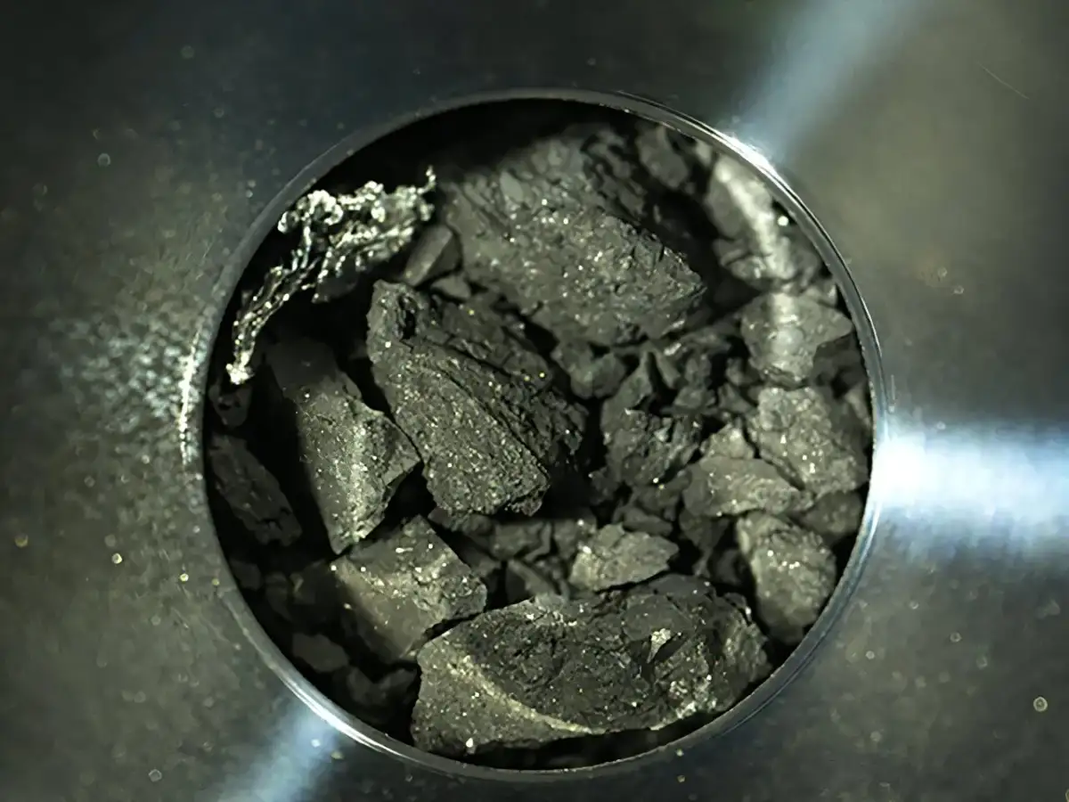 DNA building blocks on asteroid Ryugu, bacteria that eat plastic waste, and more science news - 4