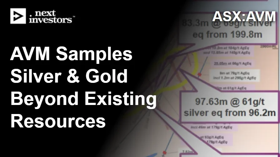 Old Mexican core samples spark new bulk silver play for Advance - 2