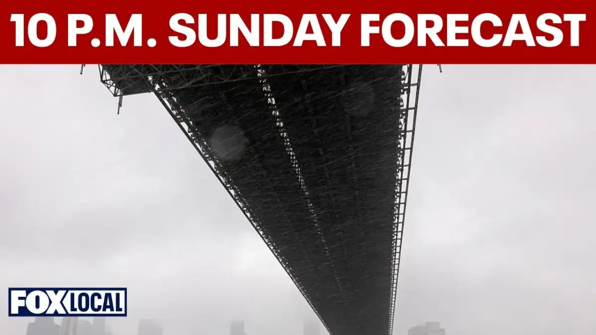 Blizzard triggers New York City travel ban as airlines cancel thousands of flights - 4