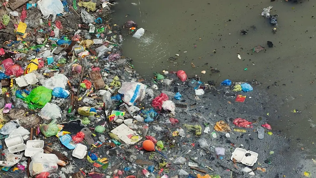 ‘They pushed so many lies about recycling’: the fight to stop Big Oil pumping billions more into plastics - 4