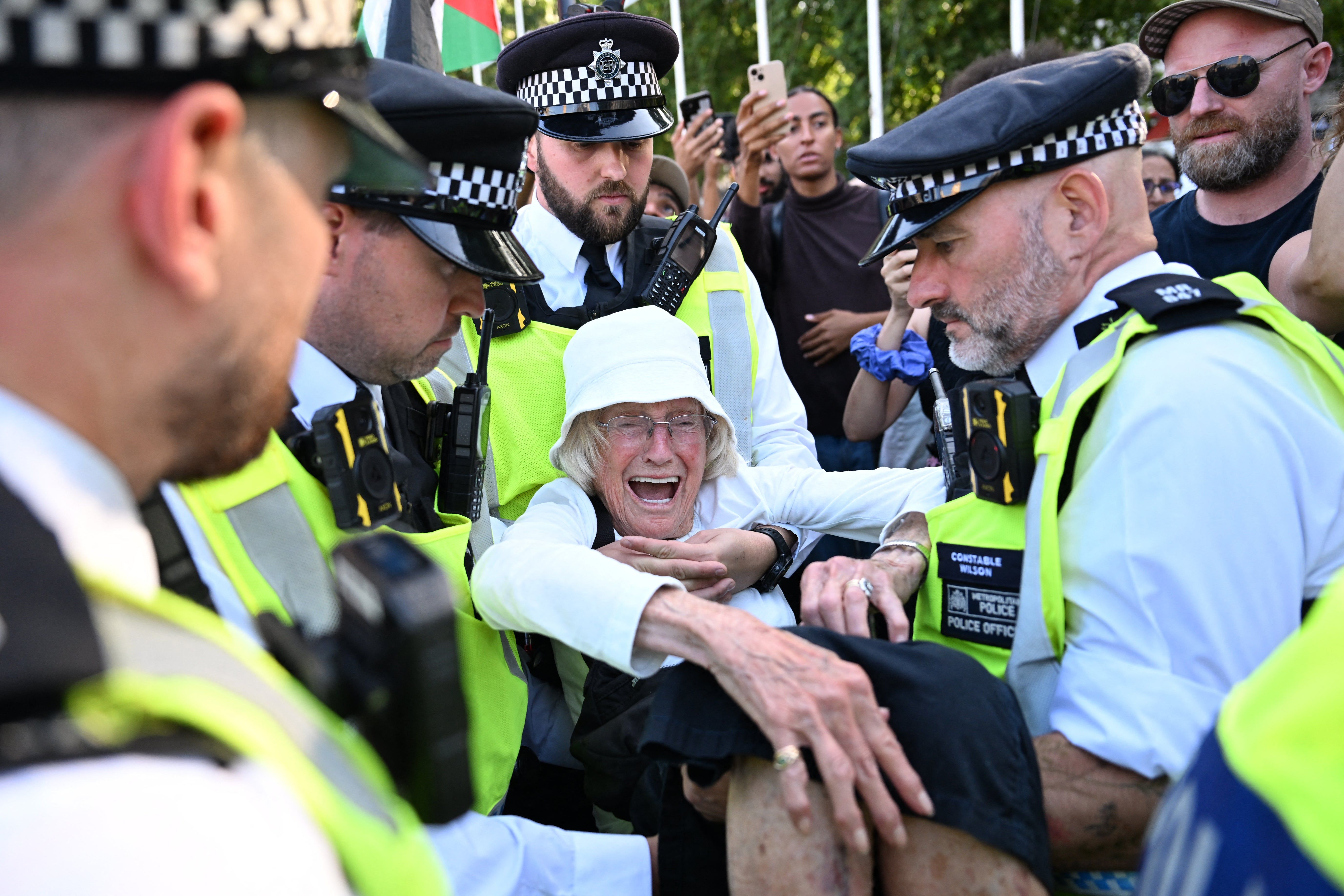 Met Police will stop arresting peaceful Palestine Action protesters after bombshell High Court ban ruling - 2
