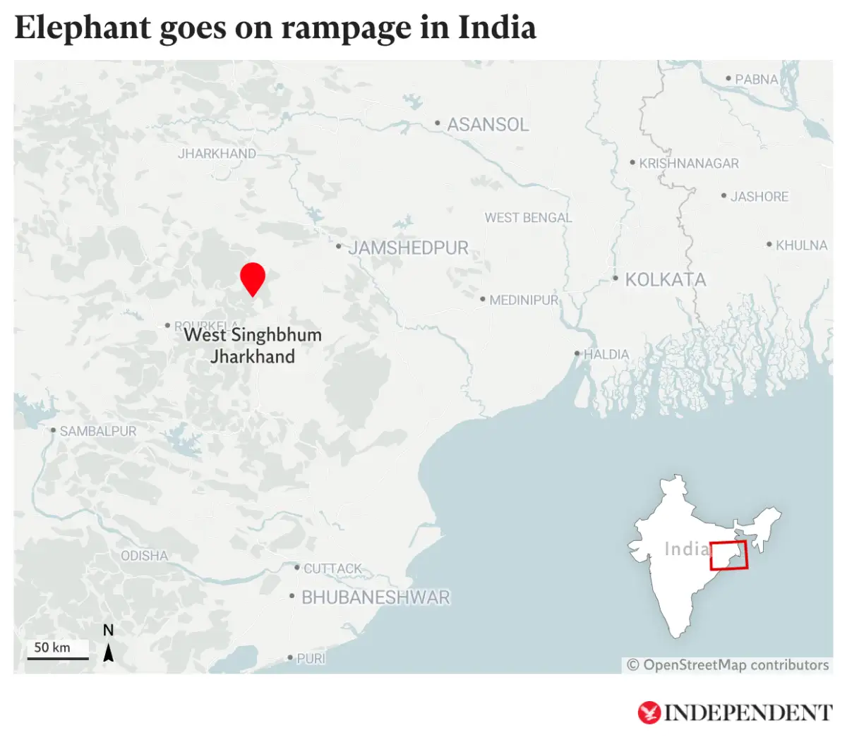 Forest watcher trampled to death by wild elephant in Chimmini forest - 4