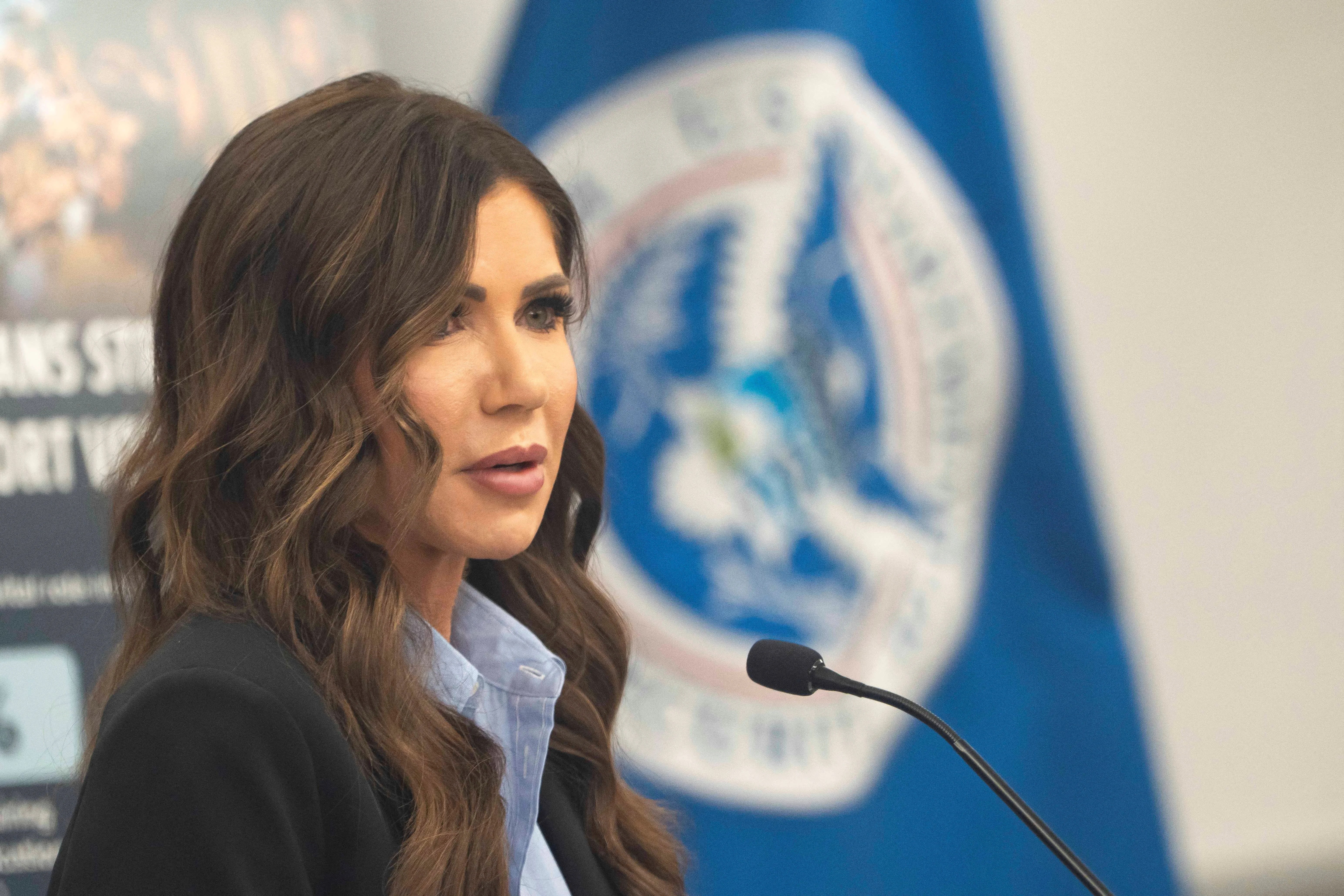 Tricia McLaughlin Is Stepping Down as Spokeswoman for D.H.S. - 2