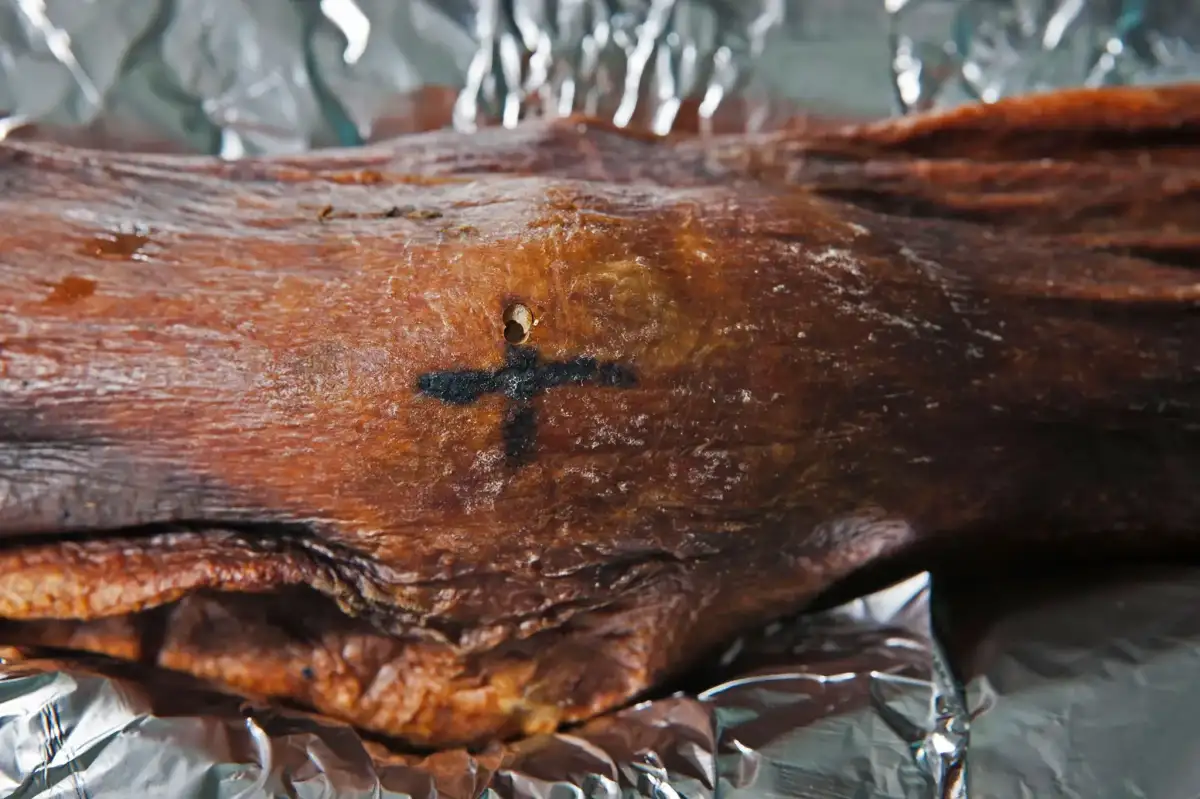 Ötzi the Iceman and his microbiome—a 5,300-year-old relationship - 3
