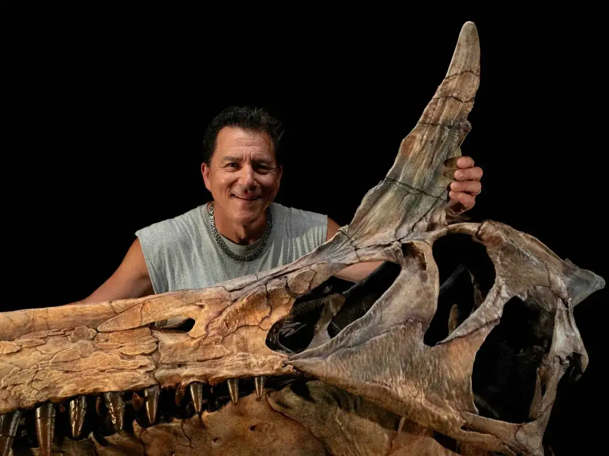 Fossils of huge 'hell heron' dinosaur unearthed in Niger - 2