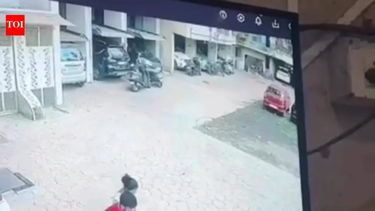 Toddler dies after falling from balcony in Vellore - 1