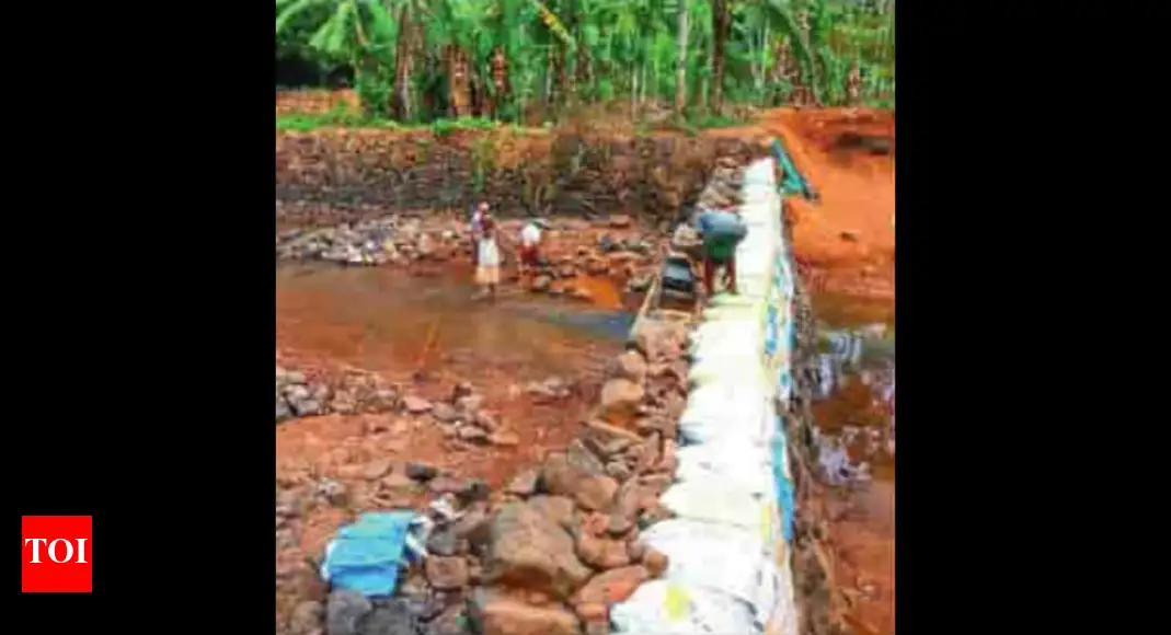 Govt. prioritises groundwater recharge and irrigation projects to strengthen agricultural sector: Boseraju - 3