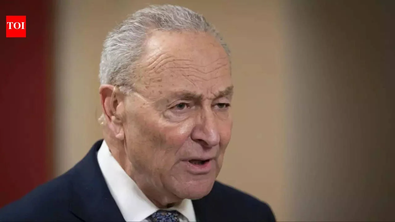 Mike Lee calls Schumer's 'Jim Crow 2.0' attack on voter ID bill 'paranoid fantasy' - 1