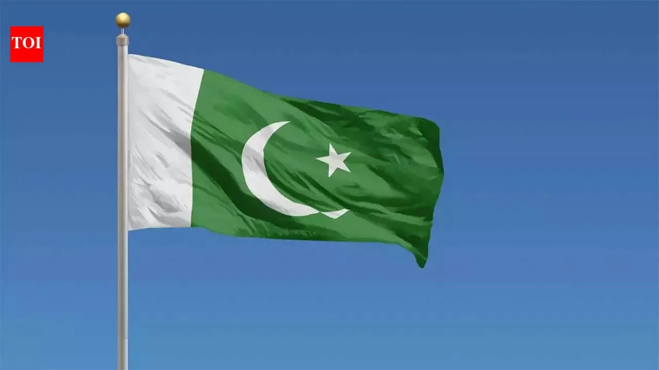 Pakistan eyes PKR 100 bn defence hike in IMF-linked budget - The Economic Times - 3