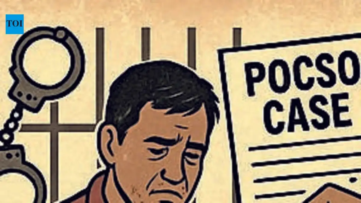 Kalaburagi court sentences 30-year-old man to 20 years imprisonment in POCSO case - 3