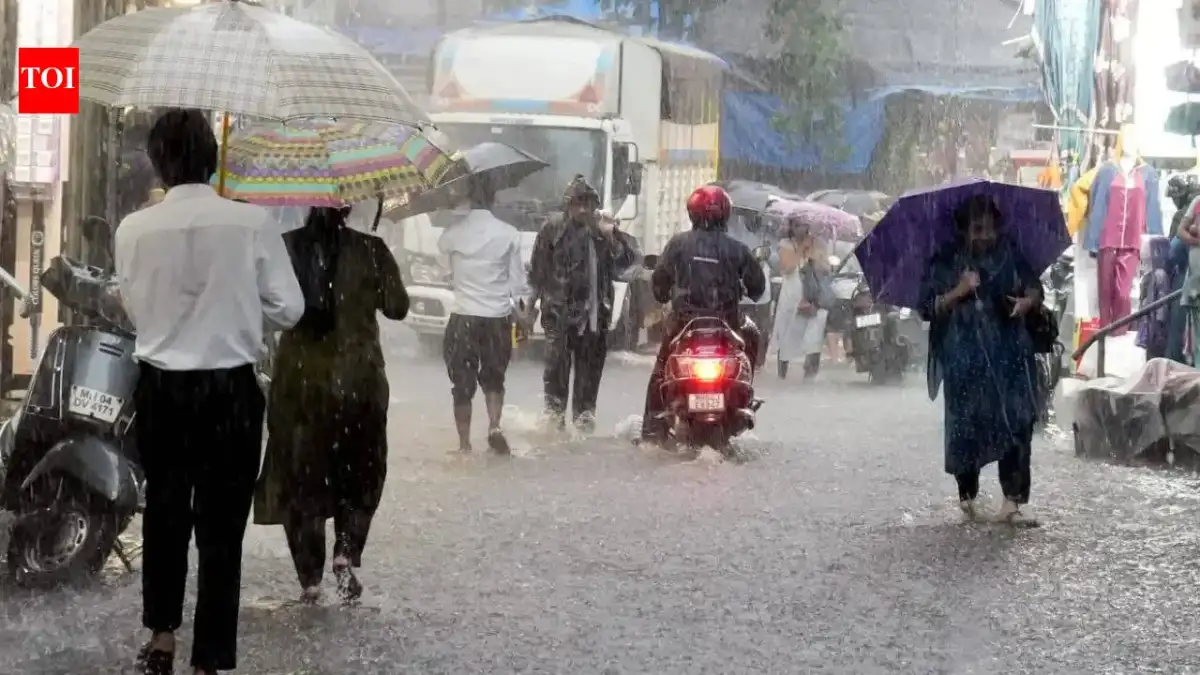 Monsoon tracker LIVE: IMD forecasts heavy rains in Mumbai, Thane on week-end, issues red alert - The Hindu - 4