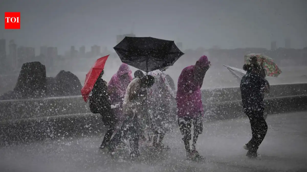 Monsoon tracker LIVE: IMD forecasts heavy rains in Mumbai, Thane on week-end, issues red alert - The Hindu - 3