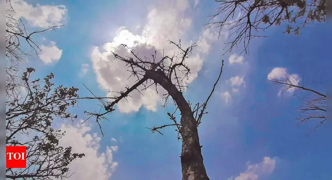 Summer Sets in Over AP, Mercury Touches 40°C - 3
