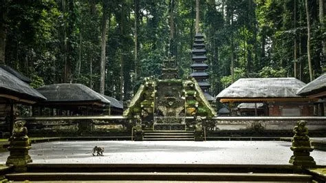 Global travel industry under pressure... MORE - 2