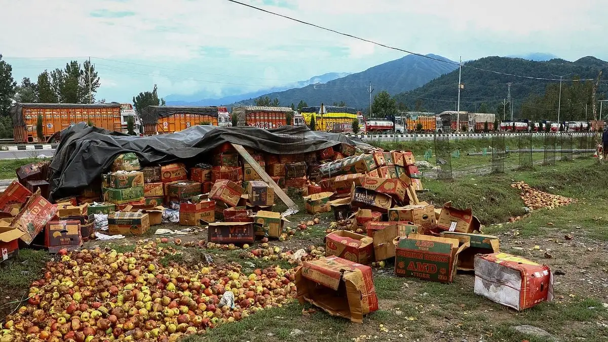 ‘I only see losses’: Omar warns of threat to Kashmir’s fruit growers from new Indo-US trade deal - 1