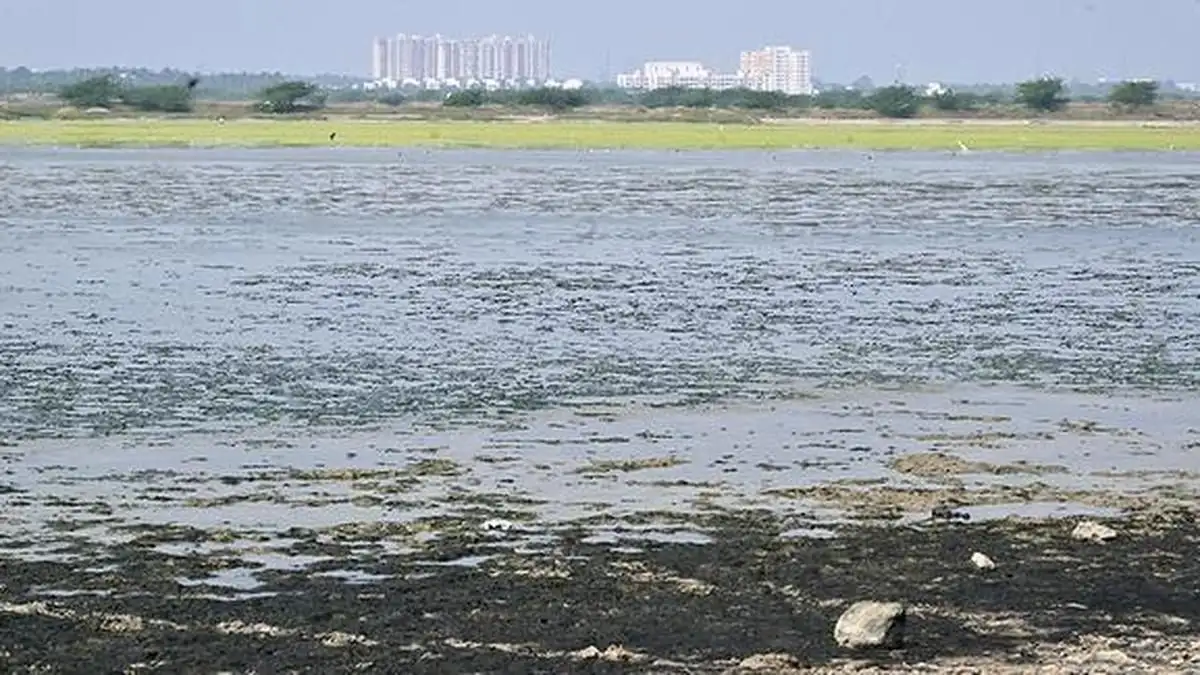 Scientists urge T.N. CM Stalin to withdraw Mamallan Reservoir proposal - 3