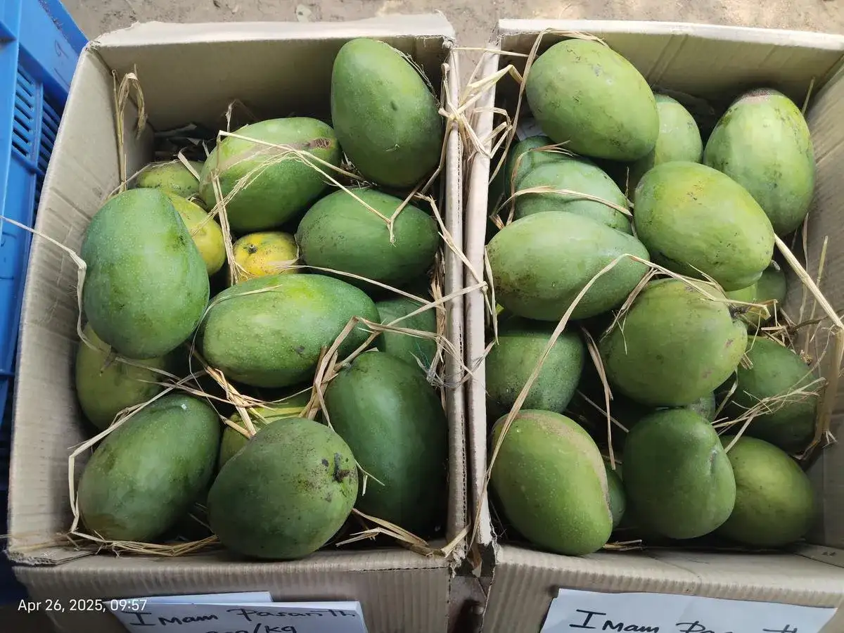 Mango mania in Chennai: Where to indulge in organic varieties this summer - 3
