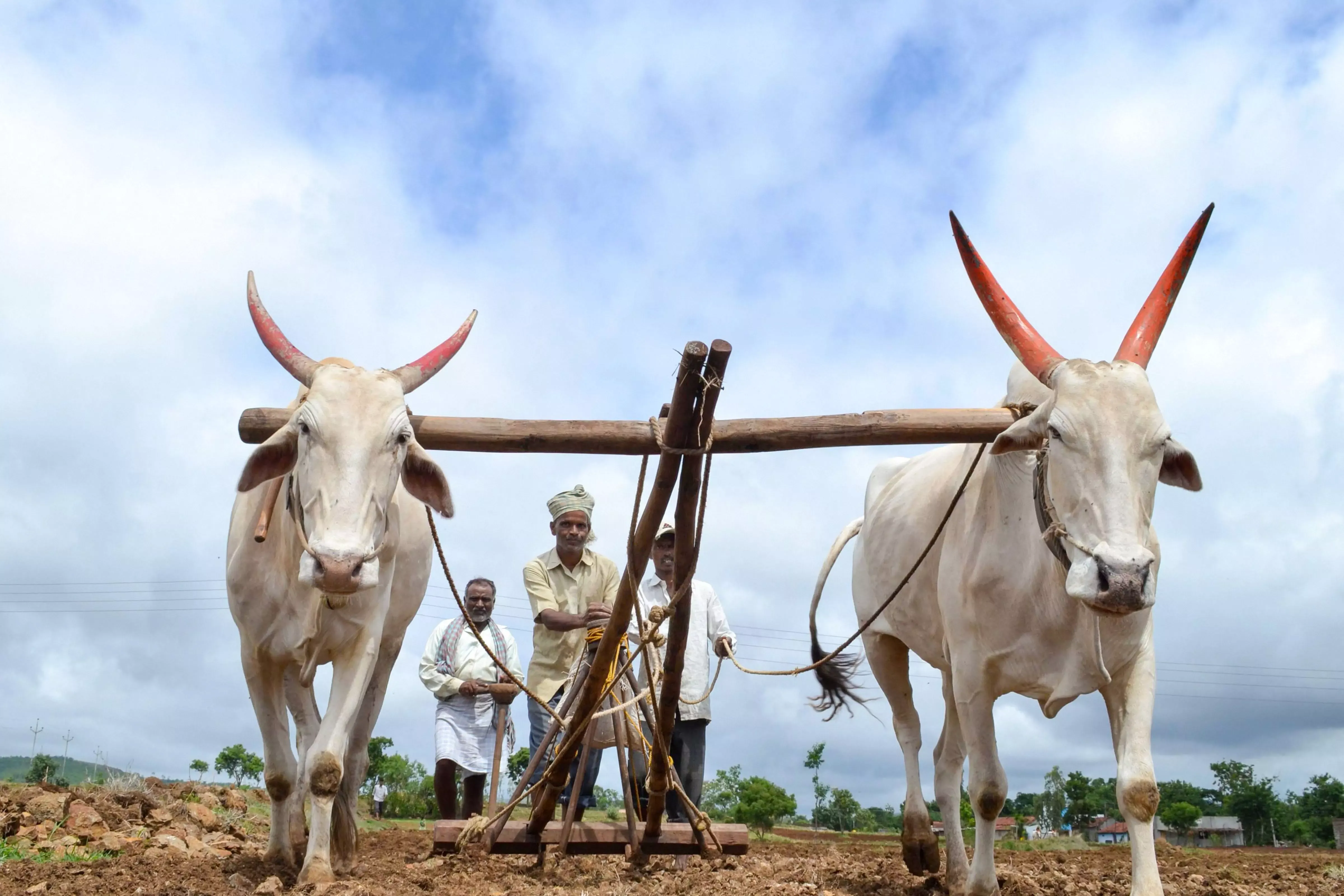 Budget lacks concrete plans to address farmers’ distress: Shanthakumar - 1