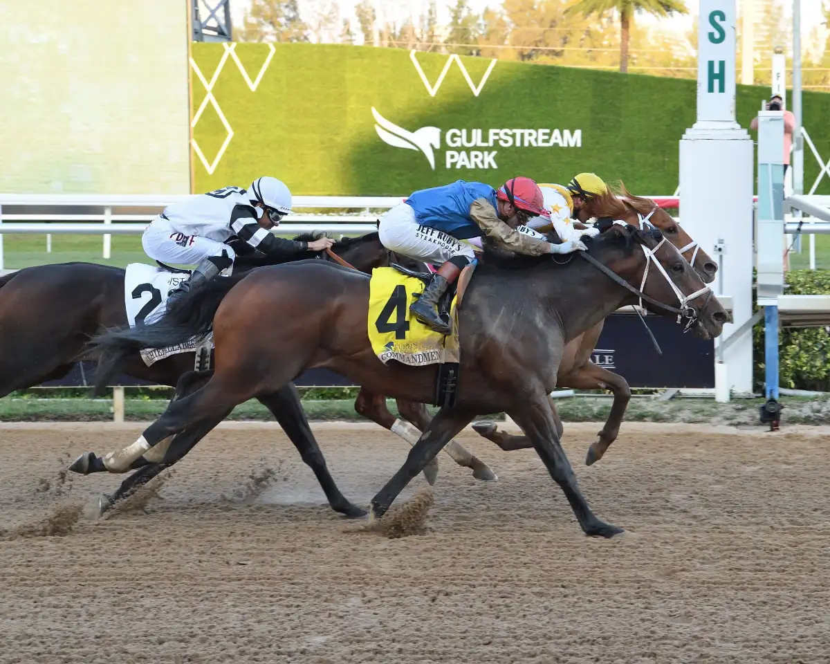 Meet the Kentucky Derby horses who ran in the 2026 race - 1