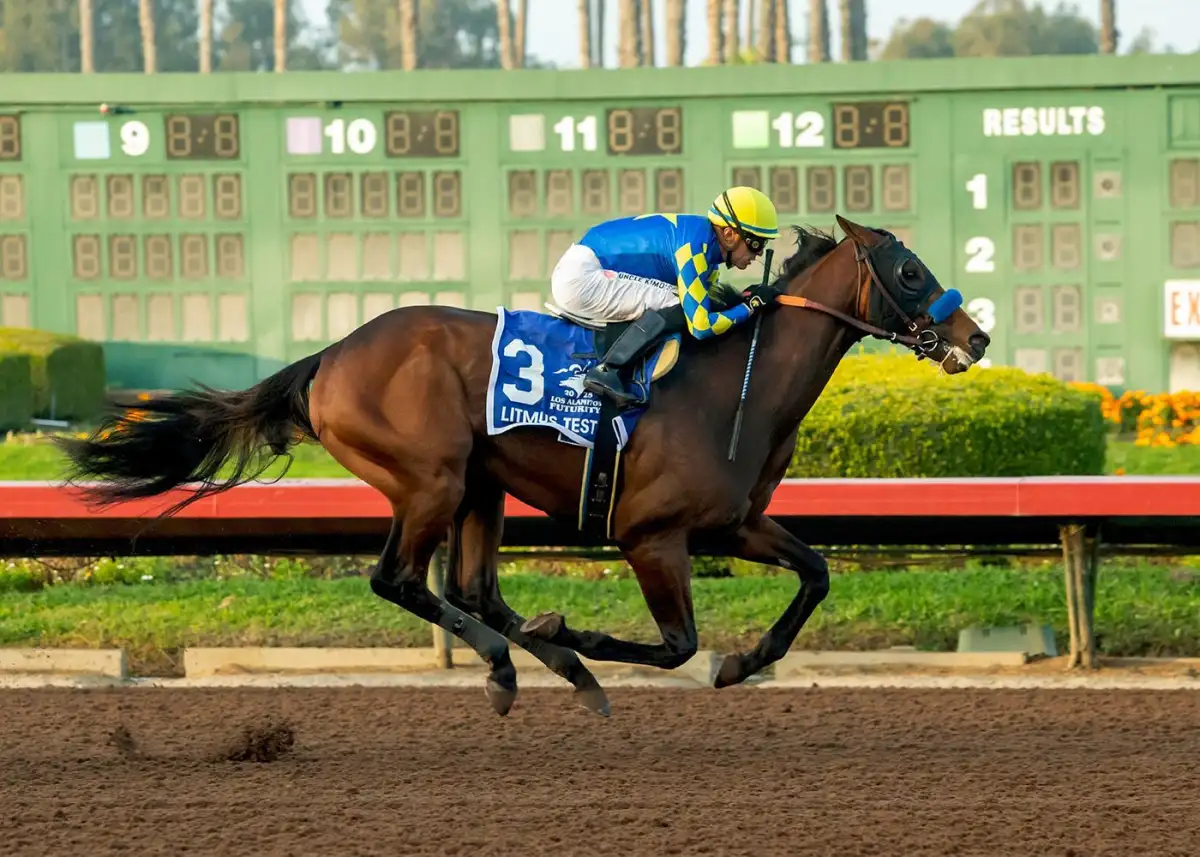 Meet the Kentucky Derby horses who ran in the 2026 race - 4