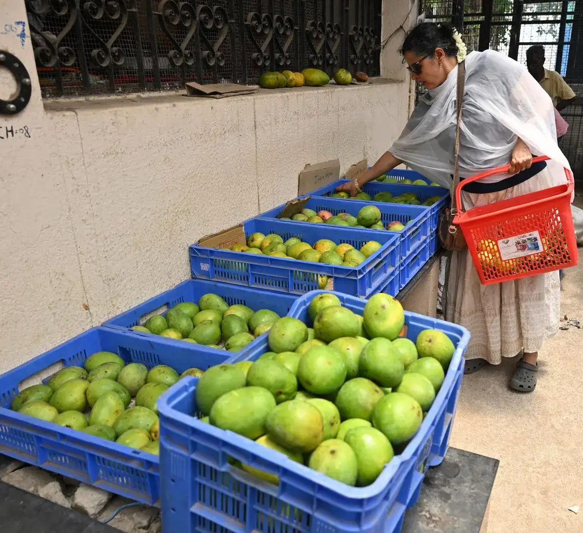 Mango mania in Chennai: Where to indulge in organic varieties this summer - 4