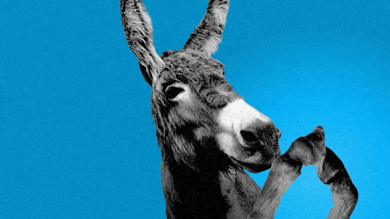 He’s Either the Democrats’ Future—or Their 2026 Demise. I Went to See Why. - 1