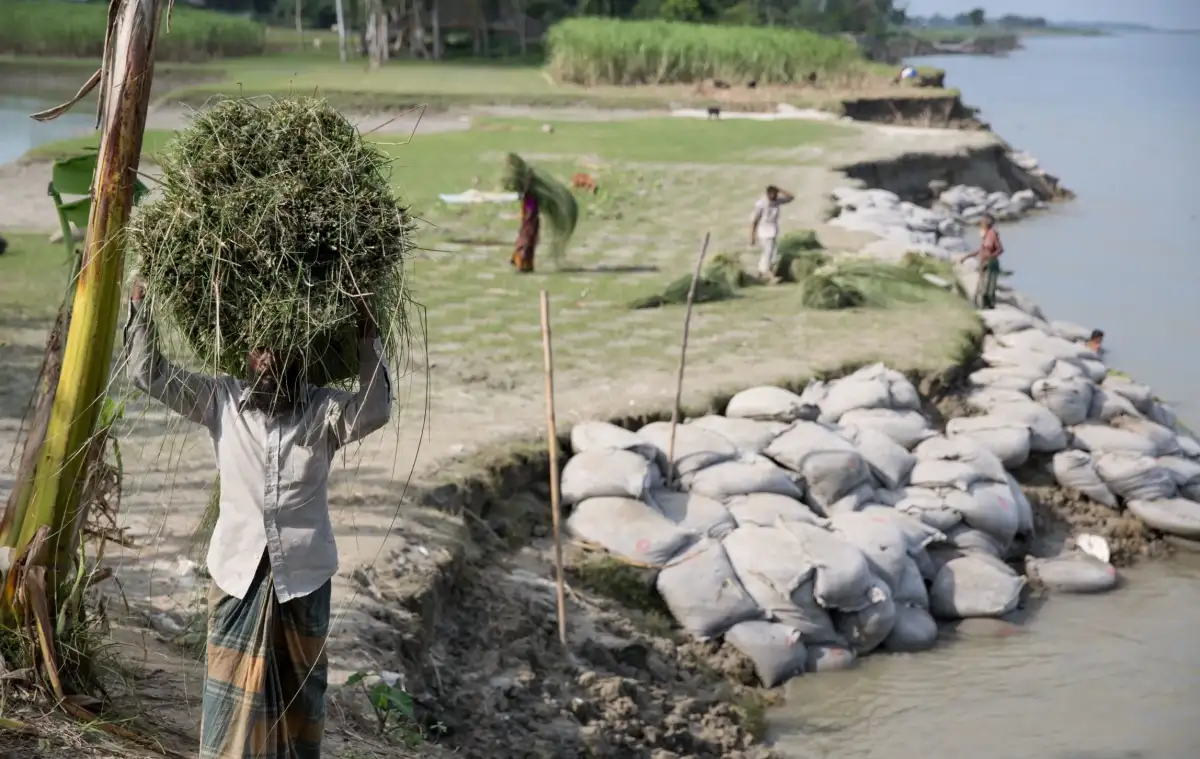 Who moves away when climate change hits? The hidden household politics of migration - 2