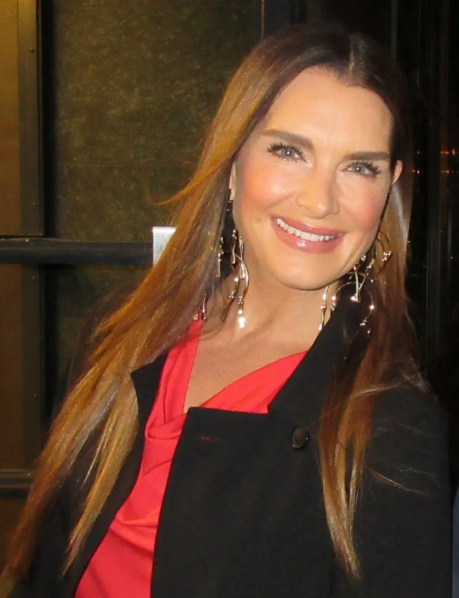 Brooke Shields' Daughter Called to Warn Her About Love Story Mention - 2