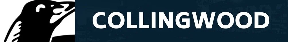 Surgery sidelines Brownlow Medallist; latest Giant blow opens door for ex-Don — Predicted R1 teams - 4