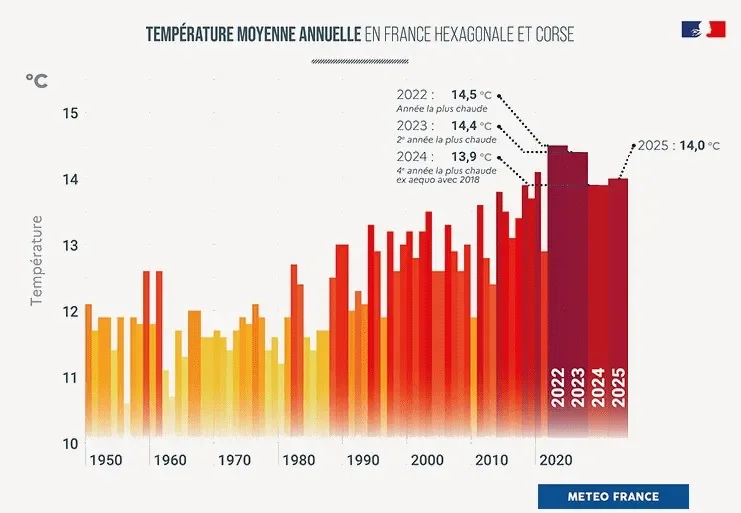 Climate change ranks behind housing, healthcare, and cost of living for voters – poll - 3
