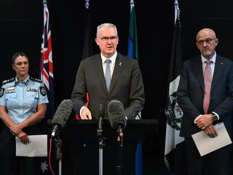 What is known about the IS-linked families about to arrive in Australia - 3