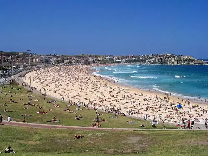 Bondi hero Ahmed Al Ahmed's brothers face court after they allegedly demanded $200,000 from him - 1