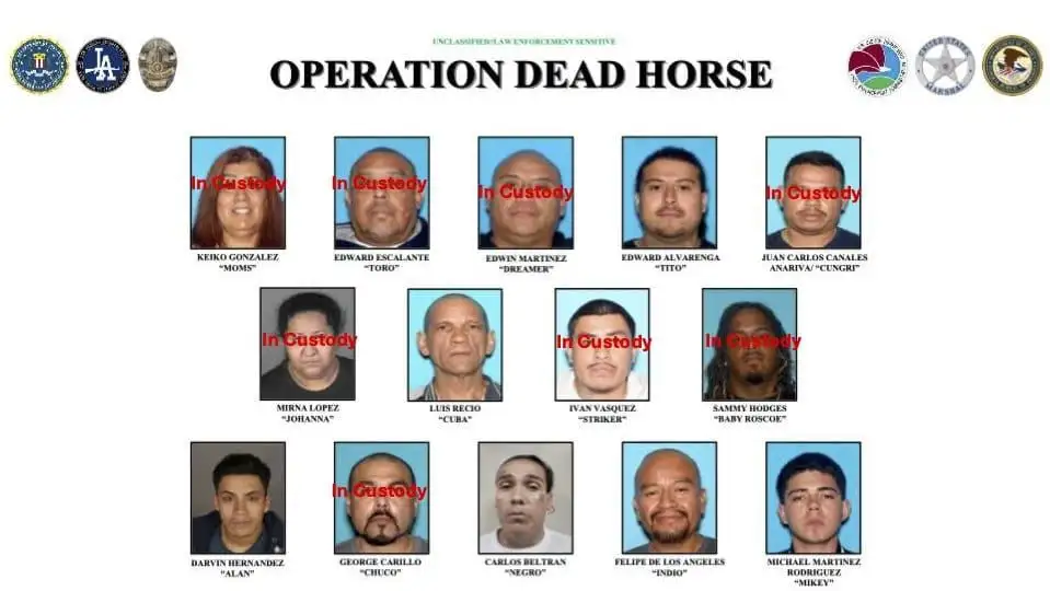 Federal authorities arrest 18 for alleged drug distribution around Los Angeles park - 1