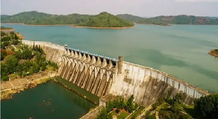 Five Children Drown in Separate Incidents in Odisha - 1