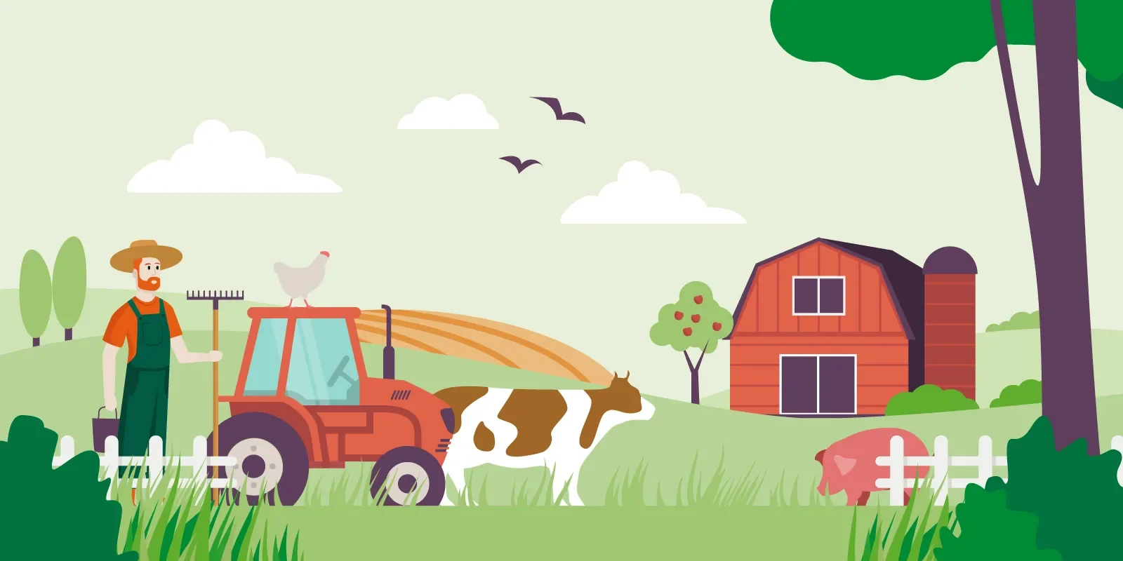 Beef and lamb get 580 times more in EU subsidies than legumes, study finds - 3