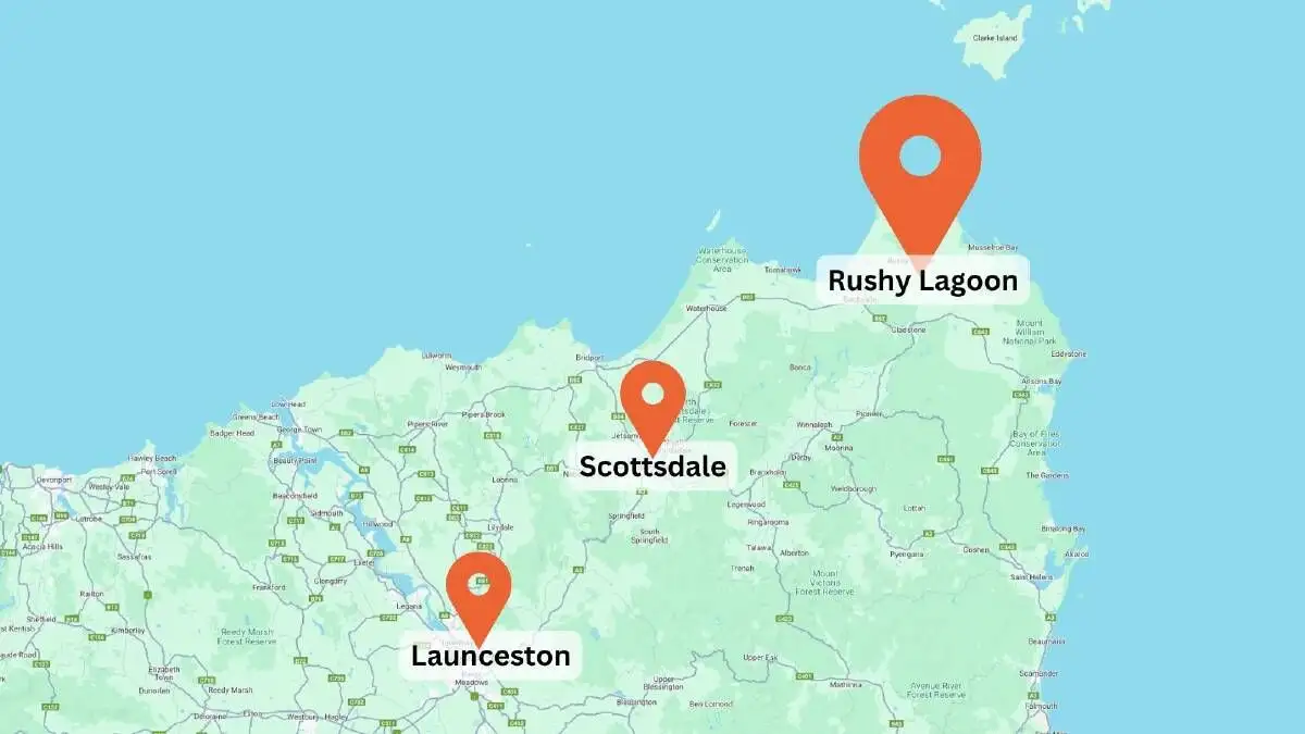 Tasmania's largest farm could be sold to UK forestry investors - 3