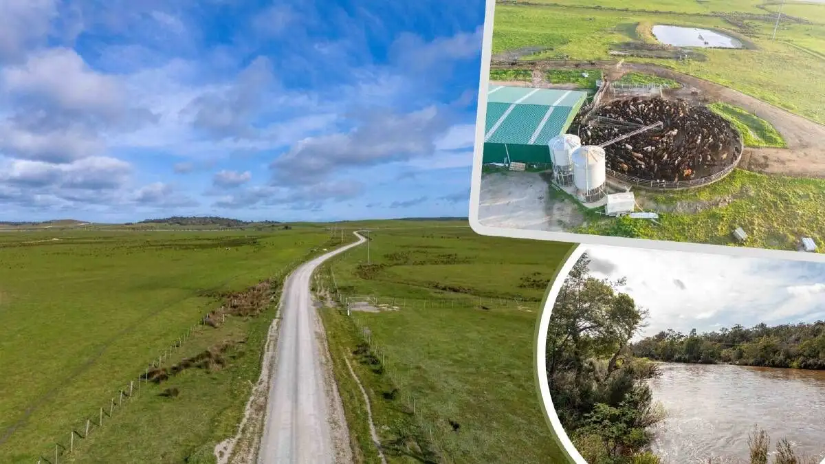 Tasmania's largest farm could be sold to UK forestry investors - 2
