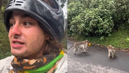 Monkey invades restaurant in India, steals man's breakfast - 2