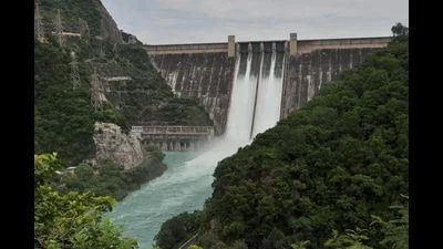 Rajasthan seeks permanent membership in Bhakra Beas Management Board - 3