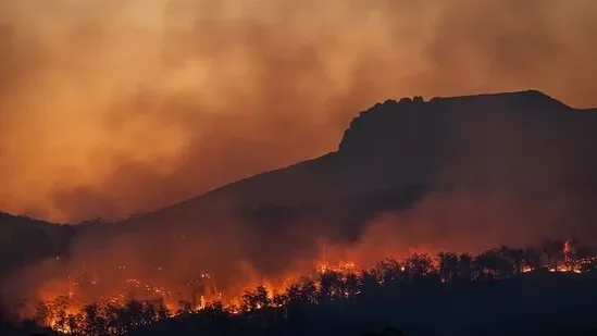 Fire Weather Watch Issued as Chicago Faces High Temperature Mid to Upper 60s — Experts Warn of Explosive Wildfire Risk - 1