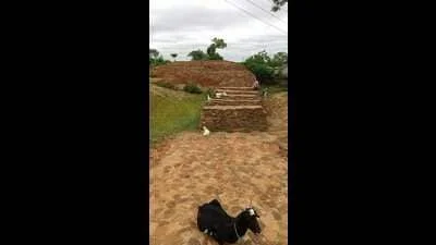 Behind the crumbling walls of Bihar’s Balirajgarh Fort, a tale of monumental neglect - 1