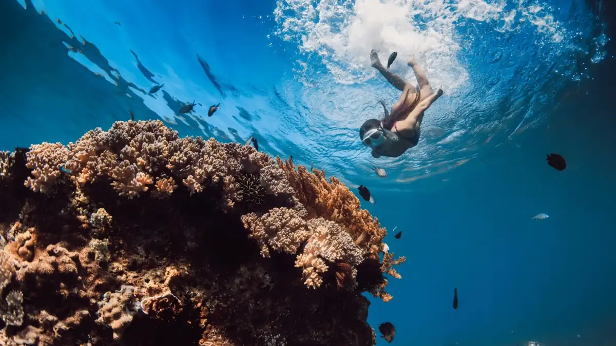 Tourists on snorkeling tour in idyllic Hawaii waters shriek in horror as man STABS boat captain with fish fillet knife - 3