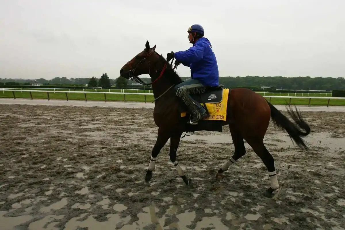 Kentucky Derby: The $10 million gamble on a 1000-1 long shot - 2